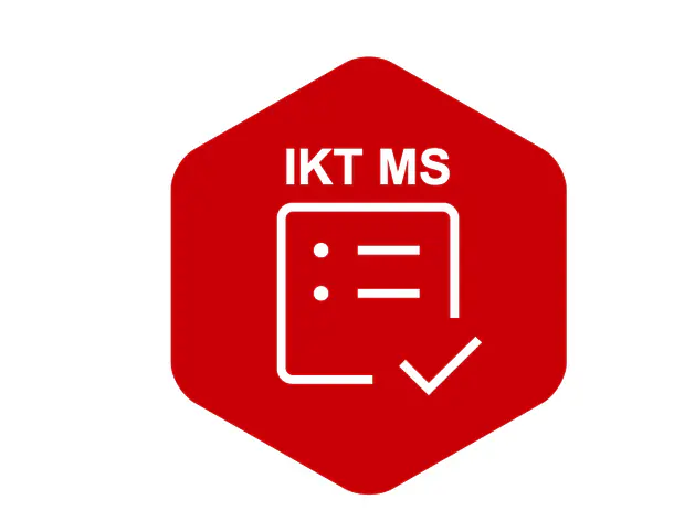 IKT-Minimalstandard Assessment