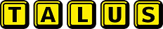Talus Informatik AG